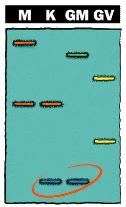 Veranschaulichung der Defizienzfälle